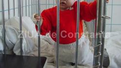 Modificări importante în Legea Adopţiei. Sume importante pentru copiii adoptaţi în condiţii speciale (document)