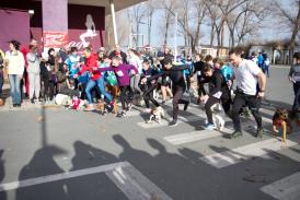 ZIP ESCORT și EXCLUSIV AUTO susţinători ai \