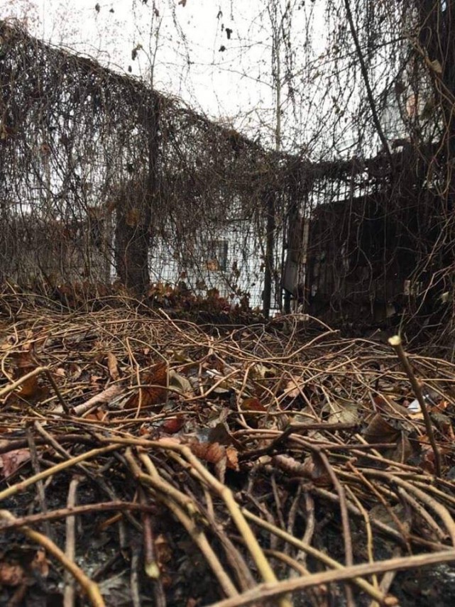 cerere de demolare a unor cladiri din curtea spitalului municipal zona policlinica 2 depusa de claudiu