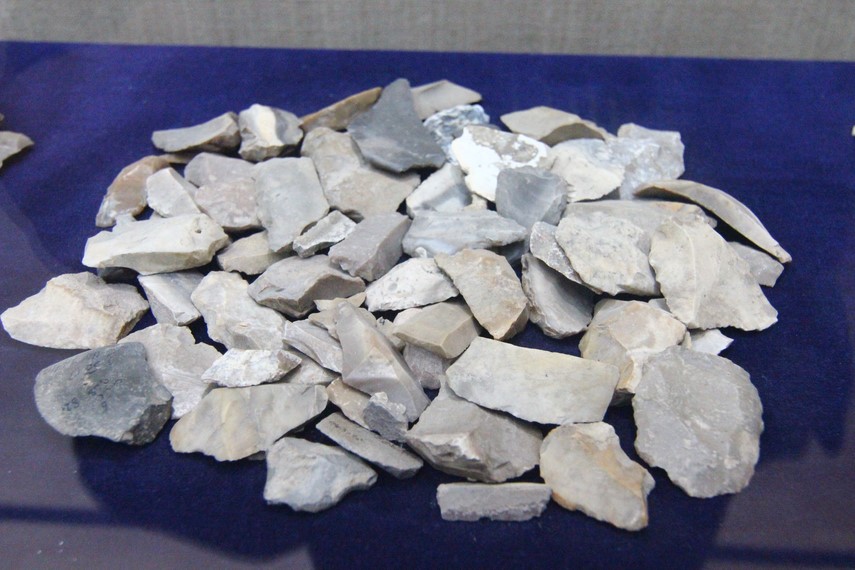 istoria dobrogei populatie popoare cultura gravetiana din epoca paleoliticului tarziu 679067 istoria dobrogei populatie popoare cultura gravetiana din epoca paleoliticului tarziu 679067