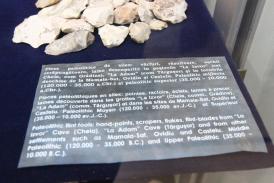 Istoria Dobrogei - populaţie - popoare Cultura gravetiană din epoca paleoliticului târziu 