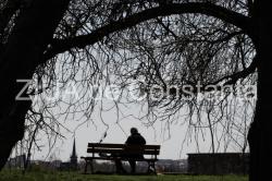 Poezia zilei În ceaţă - Irina Lucia Mihalca