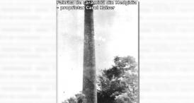 Comunități etnice stabilite în Dobrogea și la Medgidia. Germanii