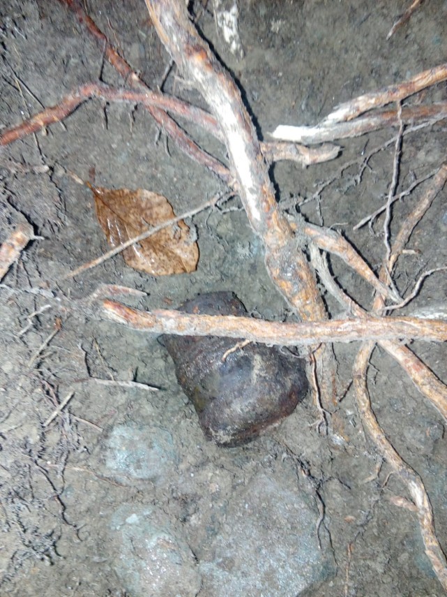 misiune pirotehnica intr o padure din judetul neamt ce s a descoperit galerie foto 680422 misiune pirotehnica intr o padure din judetul neamt ce s a descoperit galerie foto 680422