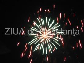 Sondaj de opinie Majoritatea participanţilor la sondajul de opinie au ales să petreacă sărbătorile de iarnă acasă 