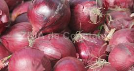 Sucul de ceapă, remediu pentru răgușeală 