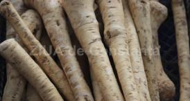 Specialiștii recomandă hreanul în tratamentul bronșitei cronice