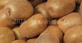 Kiwi conține o mulțime de antioxidanți și reprezintă o sursă importantă de fibre