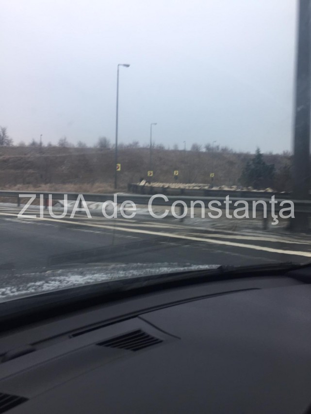 atentie soferi turma de oi pe autostrada soarelui 681438 atentie soferi turma de oi pe autostrada soarelui 681438