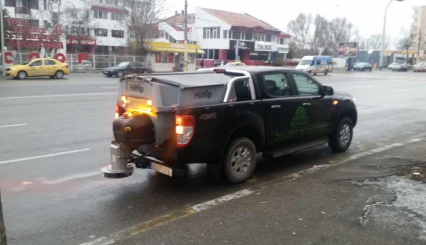 sararitele actioneaza in oras sfaturi pentru constanteni galerie foto 681689 sararitele actioneaza in oras sfaturi pentru constanteni galerie foto 681689