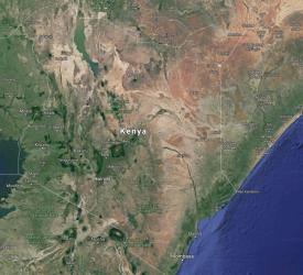 Kenya, declarată liberă de „boala somnului”. OMS salută o realizare istorică