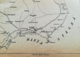 #citeşteDobrogea Despre cămilele din Dobrogea, foci şi rechini din Marea Neagră. Titluri noi în Biblioteca Virtuală ZIUA de Constanţa