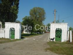 Tribunalul a decis Societatea Nazarcea Ovidiu SA, în faliment. Se ridică sigiliul pentru valorificarea bunurilor  