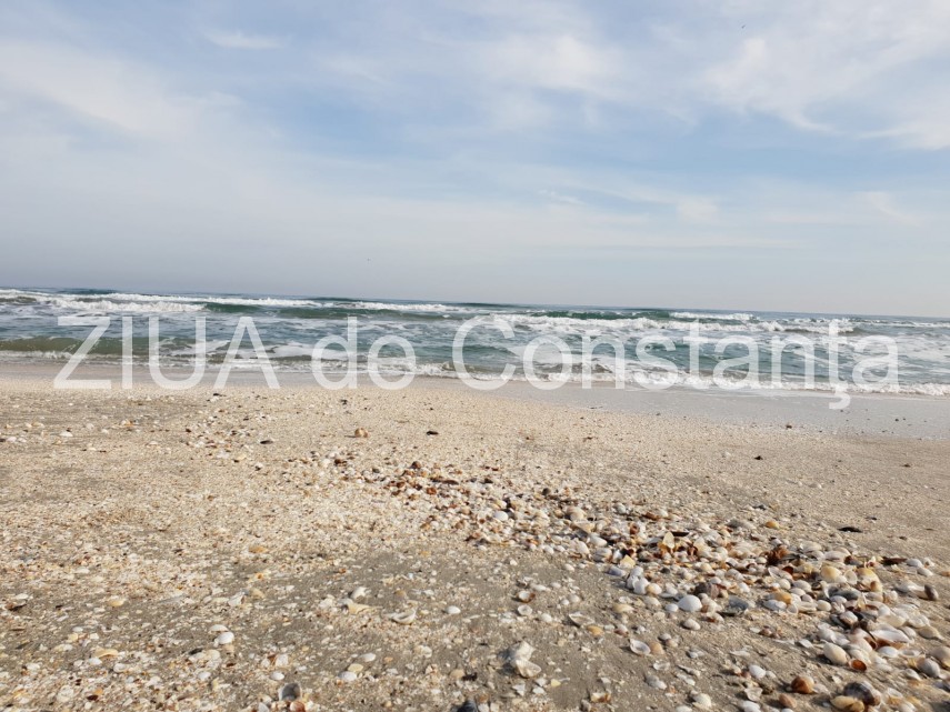 live vreme de primavara la constanta la inceput de februarie fotoreportaj 683480 live vreme de primavara la constanta la inceput de februarie fotoreportaj 683480