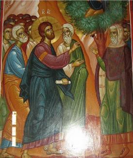 Duminica lui Zaheu vameşul 