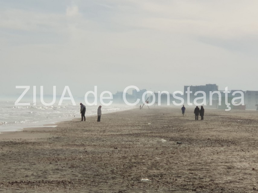 live vreme de primavara la constanta la inceput de februarie fotoreportaj 683480 live vreme de primavara la constanta la inceput de februarie fotoreportaj 683480