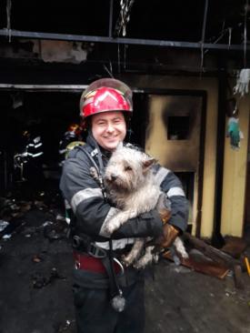 Imaginea zilei Căţeluş salvat din flăcări la Constanţa!
