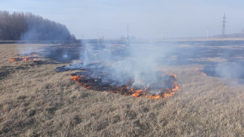 alerta de incendiu in judetul tulcea intervin pompierii ce a luat foc galerie foto 684846 alerta de incendiu in judetul tulcea intervin pompierii ce a luat foc galerie foto 684846