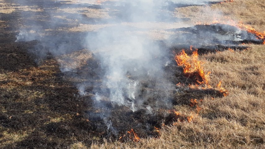alerta de incendiu in judetul tulcea intervin pompierii ce a luat foc galerie foto 684846 alerta de incendiu in judetul tulcea intervin pompierii ce a luat foc galerie foto 684846