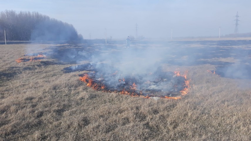 alerta de incendiu in judetul tulcea intervin pompierii ce a luat foc galerie foto 684846 alerta de incendiu in judetul tulcea intervin pompierii ce a luat foc galerie foto 684846