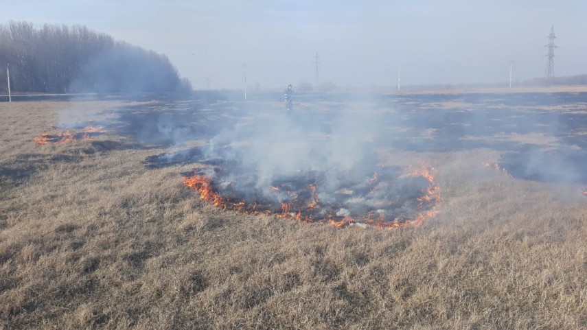 alerta de incendiu in judetul tulcea intervin pompierii ce a luat foc galerie foto 684846 alerta de incendiu in judetul tulcea intervin pompierii ce a luat foc galerie foto 684846