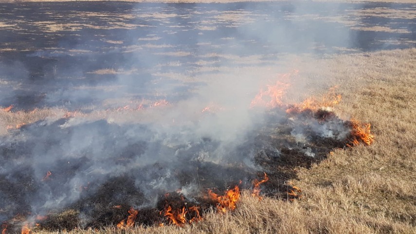 alerta de incendiu in judetul tulcea intervin pompierii ce a luat foc galerie foto 684846 alerta de incendiu in judetul tulcea intervin pompierii ce a luat foc galerie foto 684846