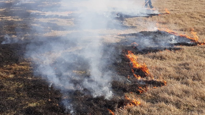 alerta de incendiu in judetul tulcea intervin pompierii ce a luat foc galerie foto 684846 alerta de incendiu in judetul tulcea intervin pompierii ce a luat foc galerie foto 684846
