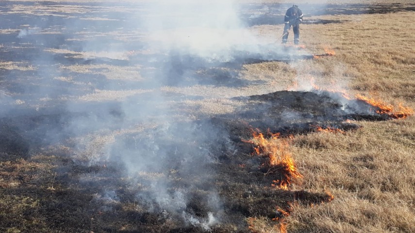 alerta de incendiu in judetul tulcea intervin pompierii ce a luat foc galerie foto 684846 alerta de incendiu in judetul tulcea intervin pompierii ce a luat foc galerie foto 684846
