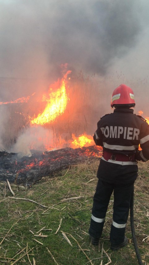 incendiu in judetul tulcea interventia este ingreunata din cauza vantului galerie foto 685327 incendiu in judetul tulcea interventia este ingreunata din cauza vantului galerie foto 685327