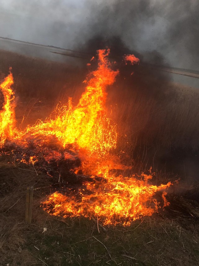 incendiu in judetul tulcea interventia este ingreunata din cauza vantului galerie foto 685327 incendiu in judetul tulcea interventia este ingreunata din cauza vantului galerie foto 685327