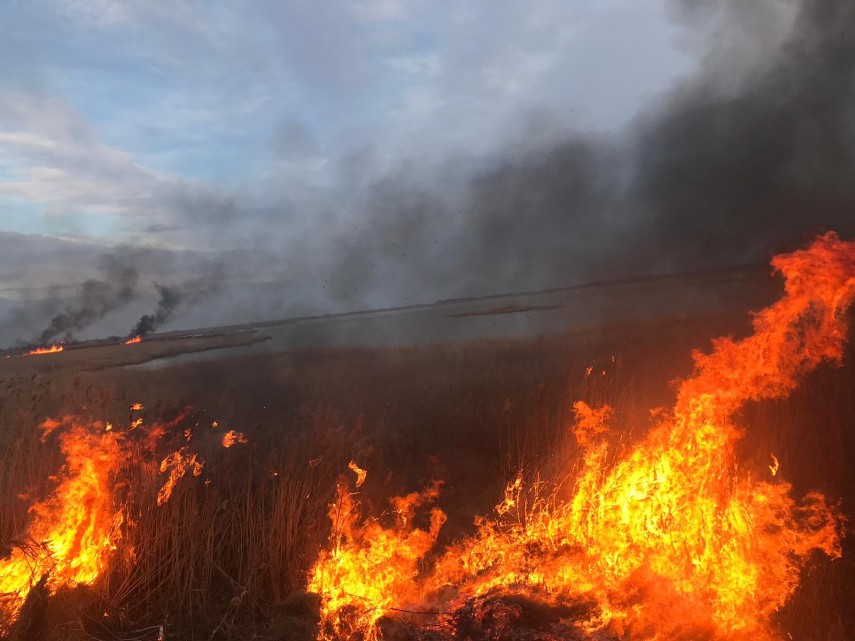 incendiu in judetul tulcea interventia este ingreunata din cauza vantului galerie foto 685327 incendiu in judetul tulcea interventia este ingreunata din cauza vantului galerie foto 685327