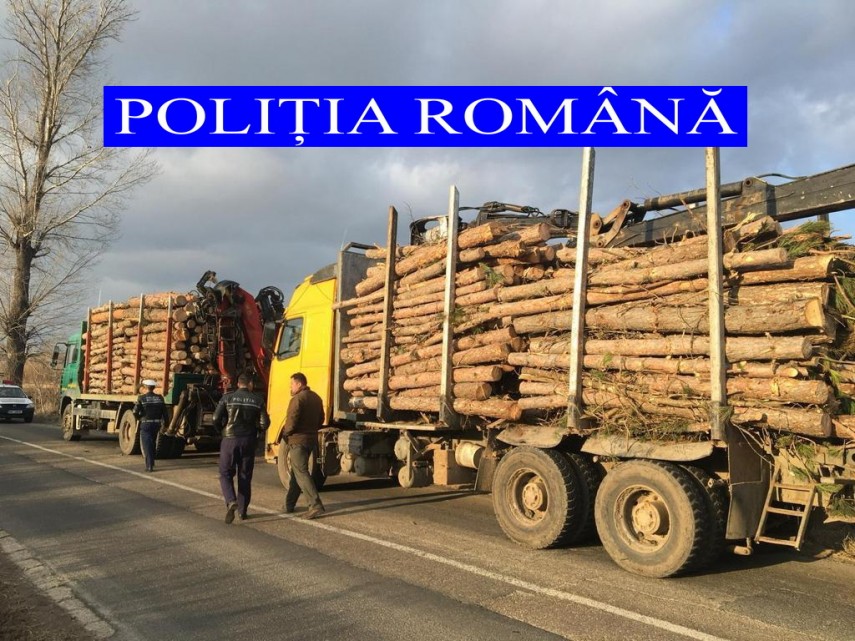 barbati depistati in timp ce transportau material lemnos fara documente legale au fost aplicate amenzi barbati depistati in timp ce transportau material lemnos fara documente legale au fost aplicate amenzi