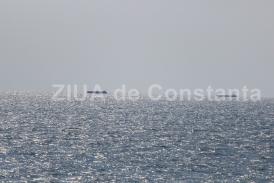 Nimeni nu este interesat de conducta de transport gaze din Marea Neagră Tuzla-Podişor. Ce au declarat reprezentanții Transgaz