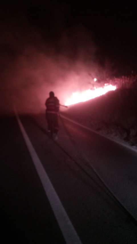 incendii in judetul tulcea pompierii se lupta cu flacarile 686091 incendii in judetul tulcea pompierii se lupta cu flacarile 686091