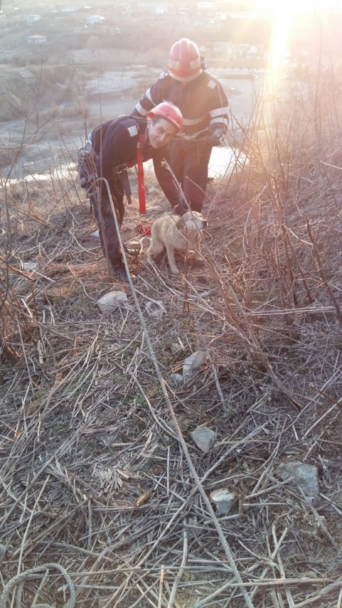 interventie salvatoare in zona padurii bididia de langa tulcea doua adolescente au fost salvate in ultima interventie salvatoare in zona padurii bididia de langa tulcea doua adolescente au fost salvate in ultima