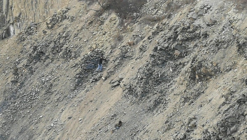 interventie salvatoare in zona padurii bididia de langa tulcea doua adolescente au fost salvate in ultima interventie salvatoare in zona padurii bididia de langa tulcea doua adolescente au fost salvate in ultima