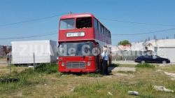 Sex în grup urmat de crimă! Judecătorii explică în detaliu tragedia de la Vama Veche!