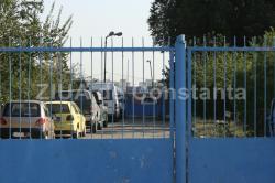 Când îşi reia activitatea adăpostul pentru câinii fără stăpân al Primăriei Constanţa