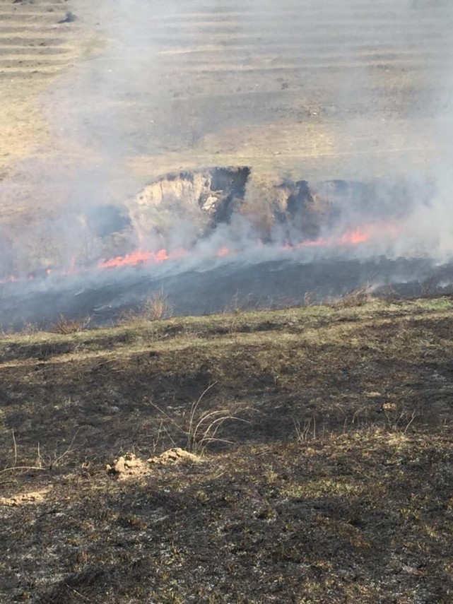 incendiu de amploare in judetul tulcea in apropiere de bestepe pompierii isu delta chemati in ajutor incendiu de amploare in judetul tulcea in apropiere de bestepe pompierii isu delta chemati in ajutor