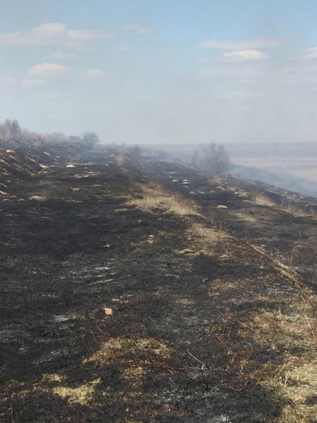 incendiu de amploare in judetul tulcea in apropiere de bestepe pompierii isu delta chemati in ajutor incendiu de amploare in judetul tulcea in apropiere de bestepe pompierii isu delta chemati in ajutor