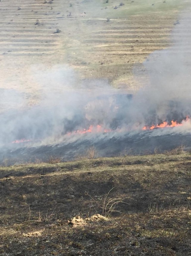 incendiu de amploare in judetul tulcea in apropiere de bestepe pompierii isu delta chemati in ajutor incendiu de amploare in judetul tulcea in apropiere de bestepe pompierii isu delta chemati in ajutor