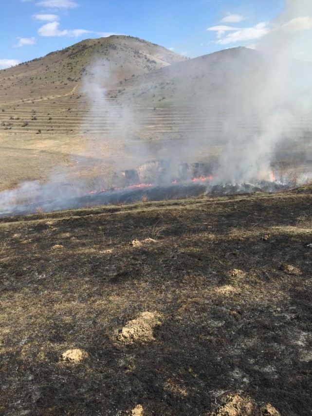 incendiu de amploare in judetul tulcea in apropiere de bestepe pompierii isu delta chemati in ajutor incendiu de amploare in judetul tulcea in apropiere de bestepe pompierii isu delta chemati in ajutor