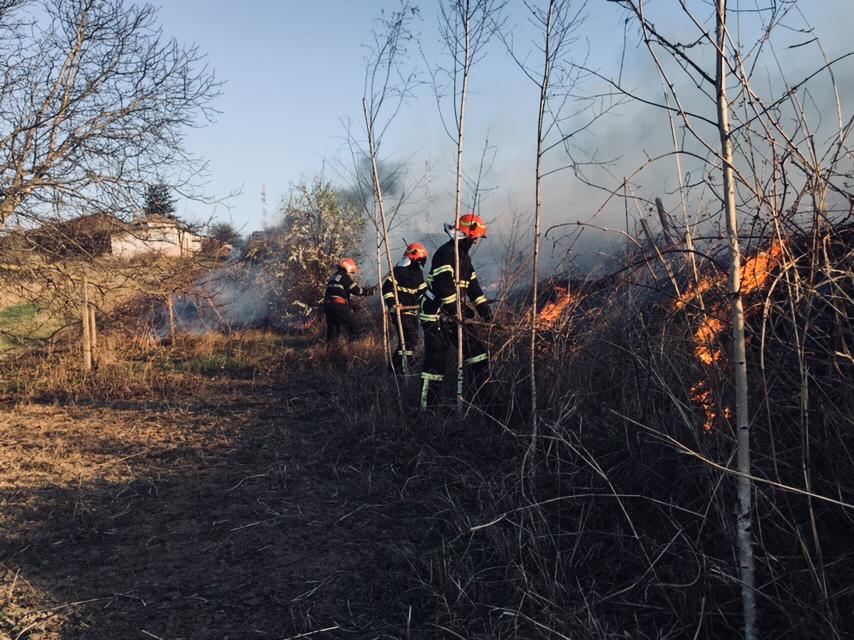 tulcea arici salvat dintr un incendiu de vegetatie galerie foto 687918 tulcea arici salvat dintr un incendiu de vegetatie galerie foto 687918
