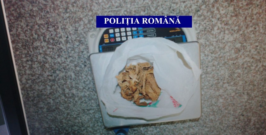 perchezitii in mai multe judete printre care si constanta vizate persoane banuite de afaceri ilegale perchezitii in mai multe judete printre care si constanta vizate persoane banuite de afaceri ilegale