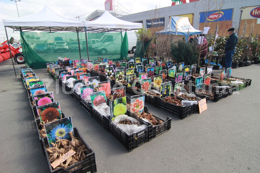 targul expoagroutil cel mai mare eveniment de profil din regiune organizat de ccina constanta si a deschis targul expoagroutil cel mai mare eveniment de profil din regiune organizat de ccina constanta si a deschis