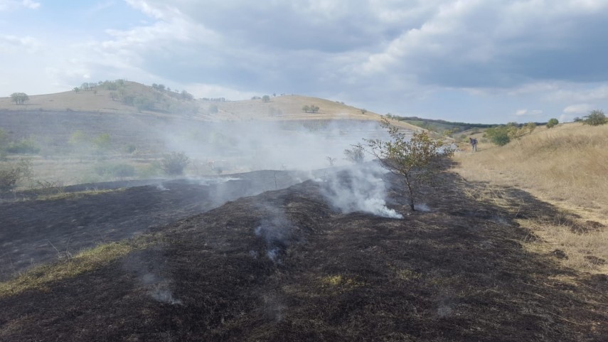 incendiu de amploare in zona localitatii cerna judetul tulcea ce suprafata de teren a fost afectata galerie incendiu de amploare in zona localitatii cerna judetul tulcea ce suprafata de teren a fost afectata galerie