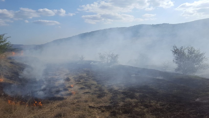 incendiu de amploare in zona localitatii cerna judetul tulcea ce suprafata de teren a fost afectata galerie incendiu de amploare in zona localitatii cerna judetul tulcea ce suprafata de teren a fost afectata galerie