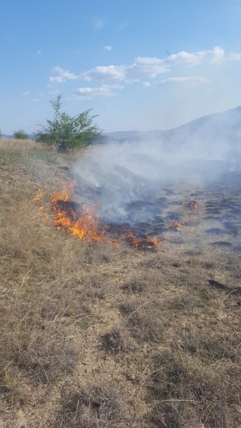 incendiu de amploare in zona localitatii cerna judetul tulcea ce suprafata de teren a fost afectata galerie incendiu de amploare in zona localitatii cerna judetul tulcea ce suprafata de teren a fost afectata galerie