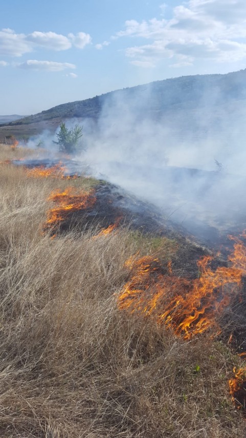 incendiu de amploare in zona localitatii cerna judetul tulcea ce suprafata de teren a fost afectata galerie incendiu de amploare in zona localitatii cerna judetul tulcea ce suprafata de teren a fost afectata galerie
