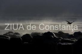 centrulnatura.ro Libertatea este individuală